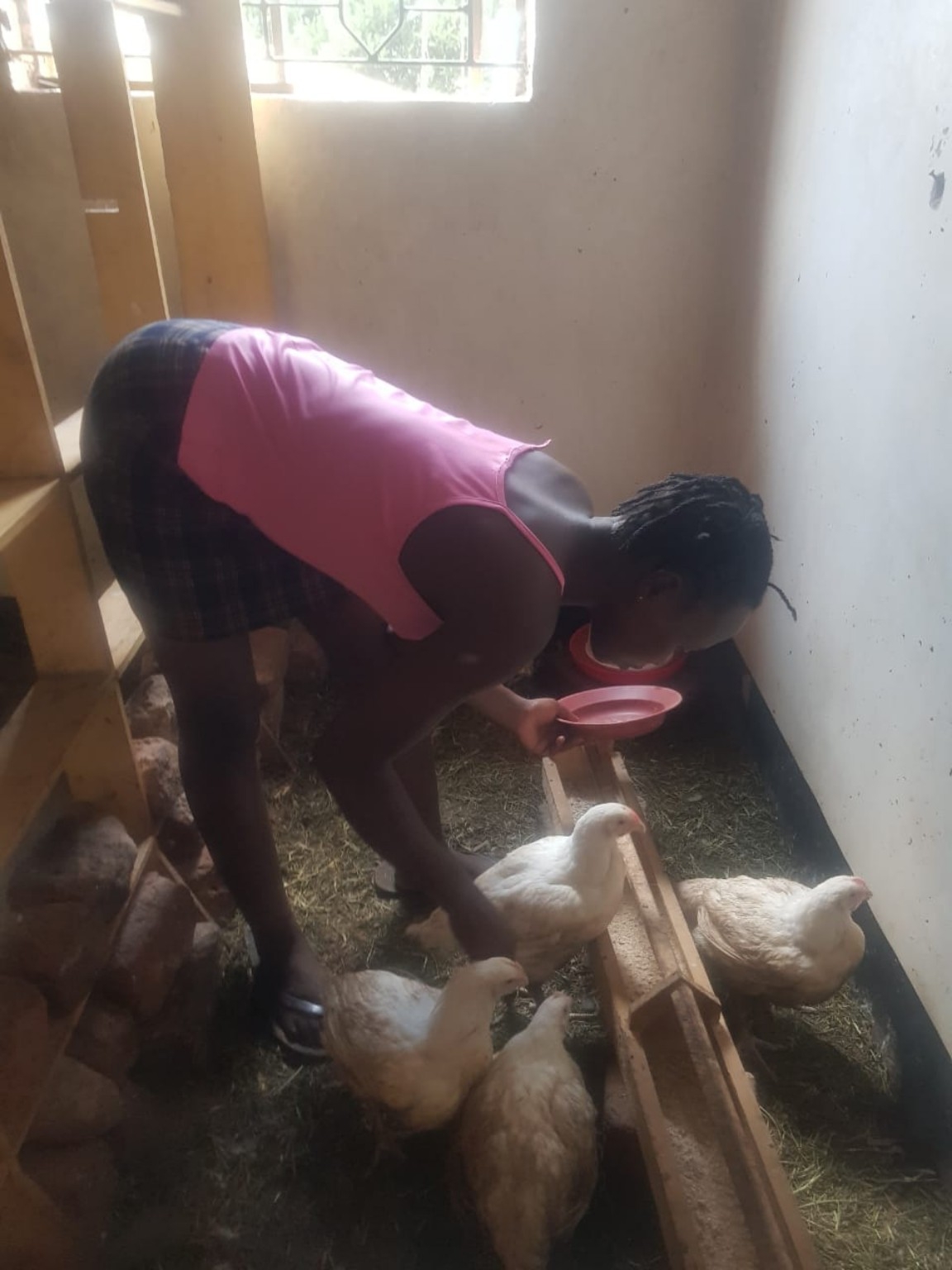 EMPOWER 200 RURAL WOMEN THROUGH POULTRY FARMING