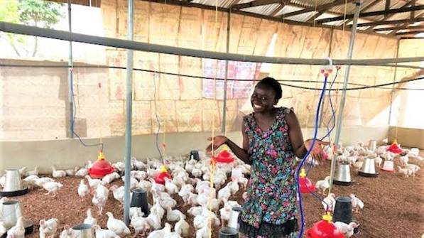EMPOWER 200 RURAL WOMEN THROUGH POULTRY FARMING