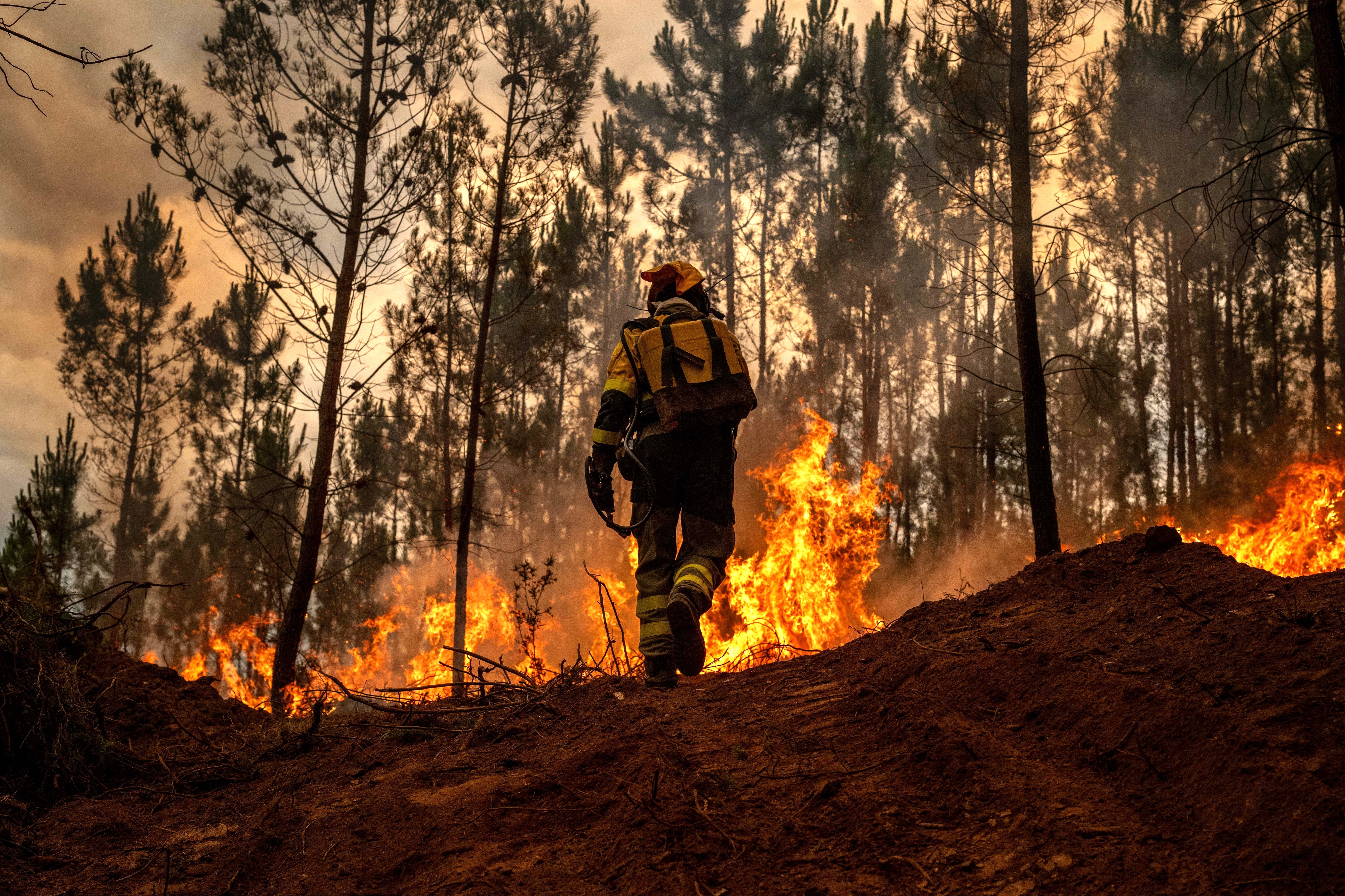 Wildfire Emergency Response Fund