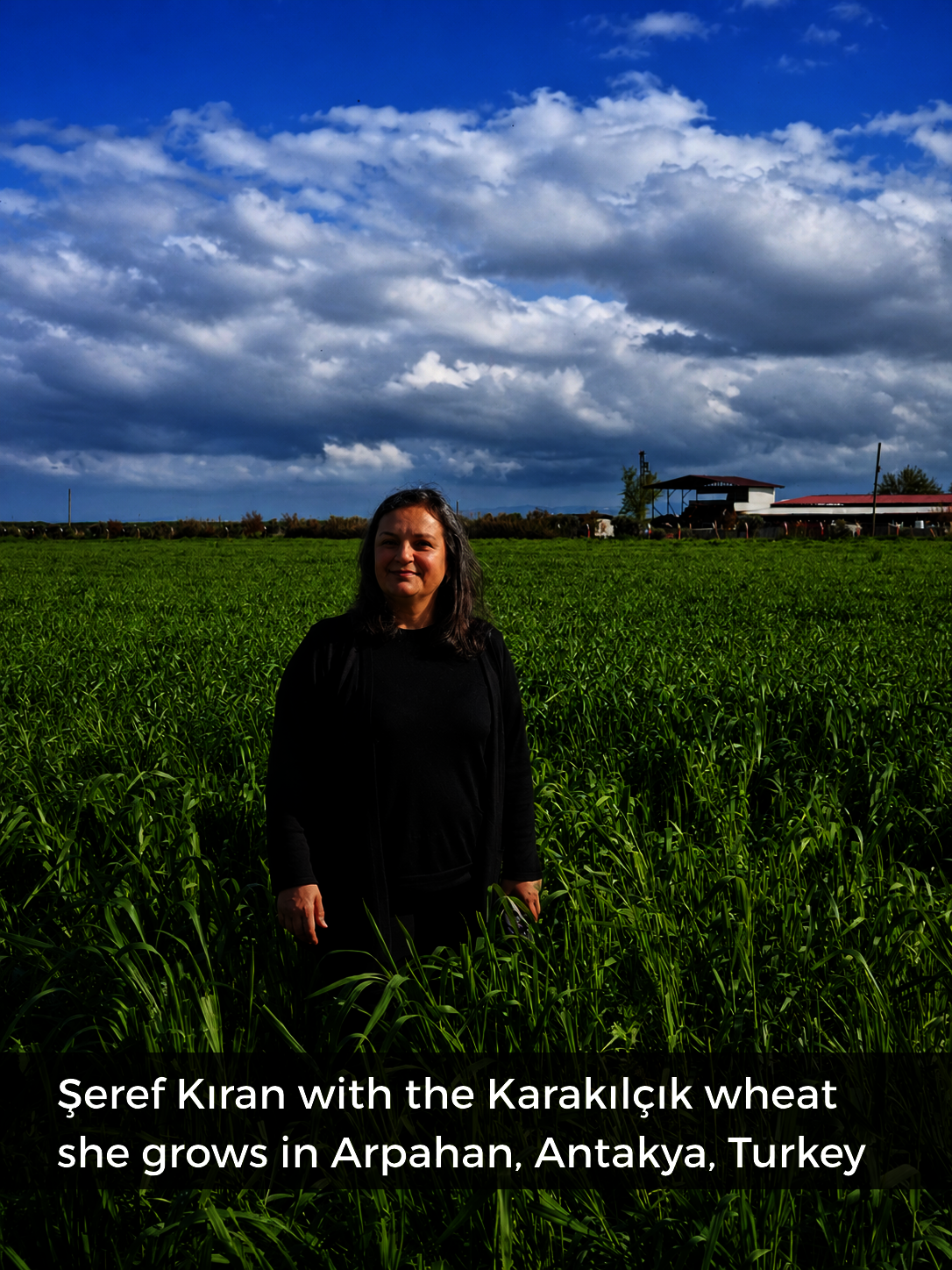 Help Women Bake a Fairer Food Future in Turkiye