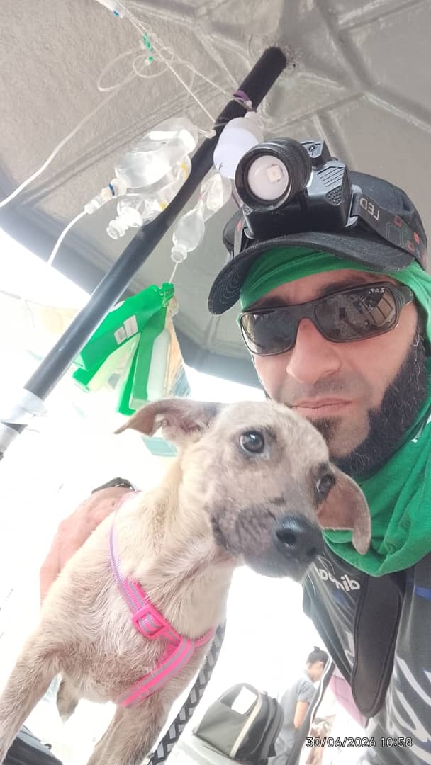 Help Animals After the Venezuela Earthquakes