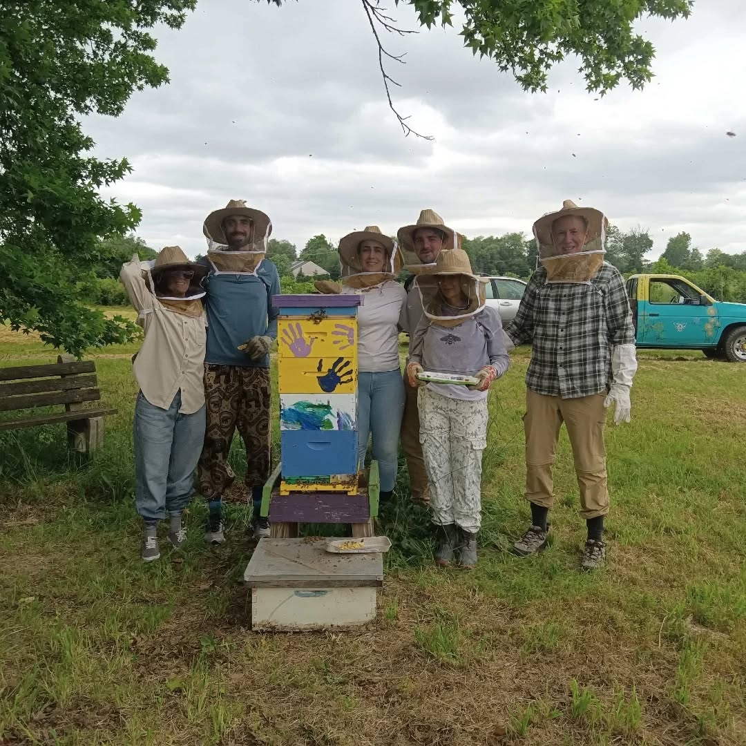 Queen Bee Breeding for Sustainable Livelihoods