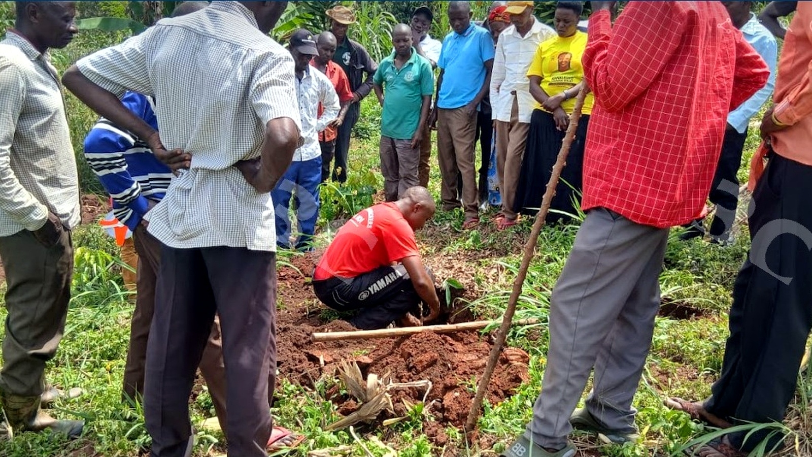 Help 1,000 Ugandan Farmers Grow Food & Plant Trees