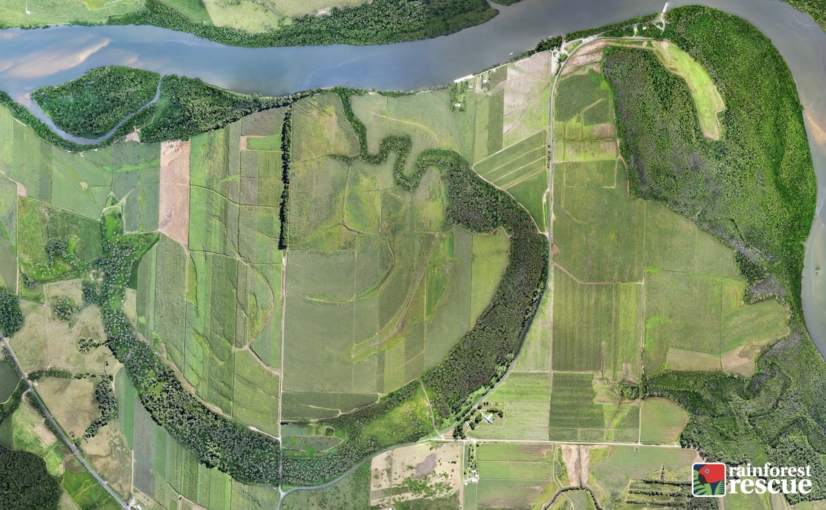 Securing the Oxbow Wetland for Future Conservation