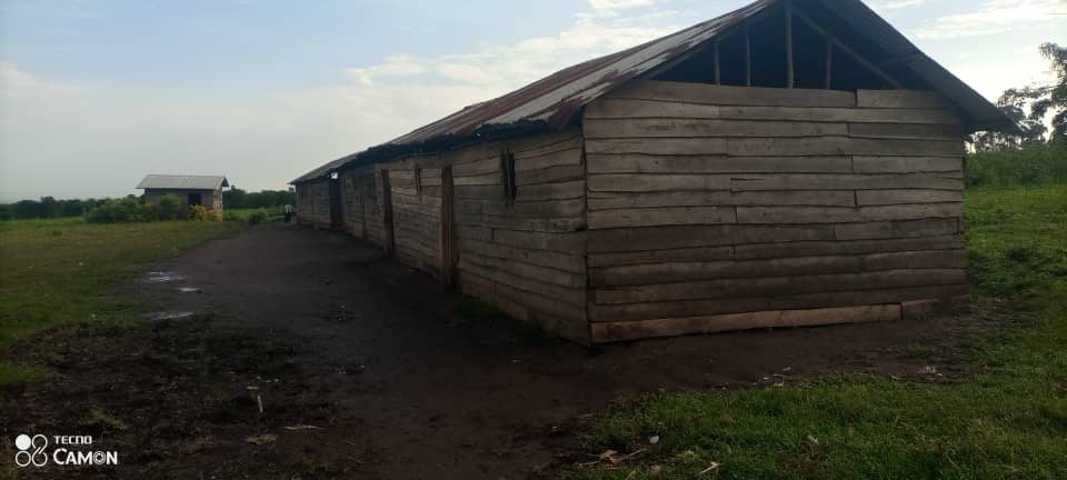 Build Safe Classrooms for Congo's Children