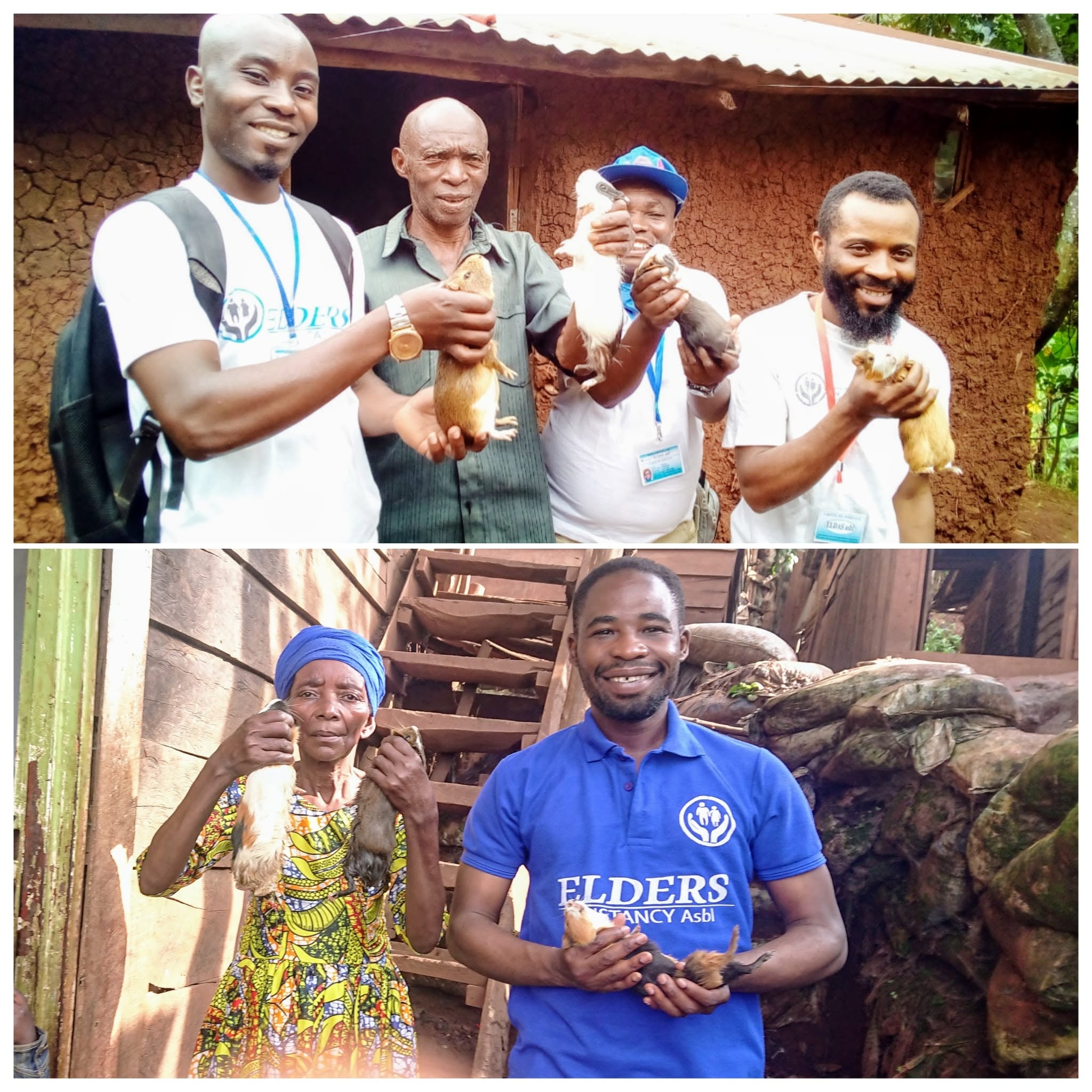 Support Elderly Livelihoods in Kabare