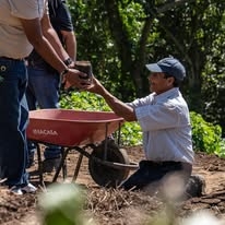 Regenerate Farmland at Casa Conejo, El Salvador