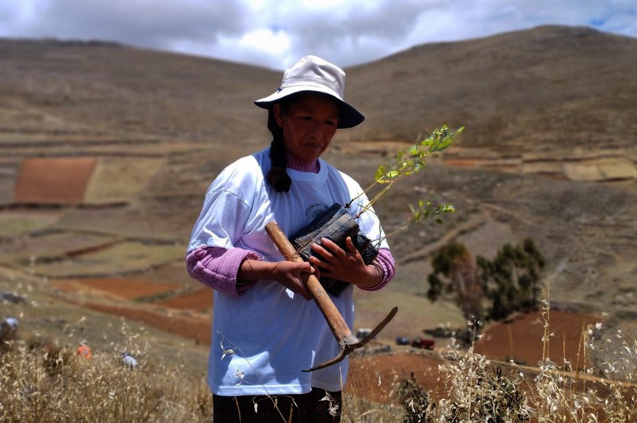 Help Rural Families Restore Forests in Choras