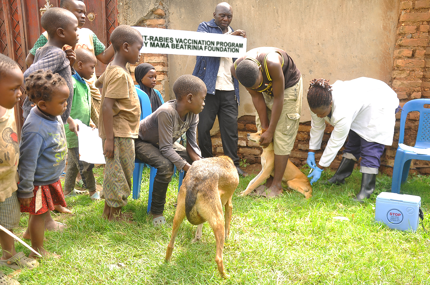 Expanding dog vaccination and welfare education