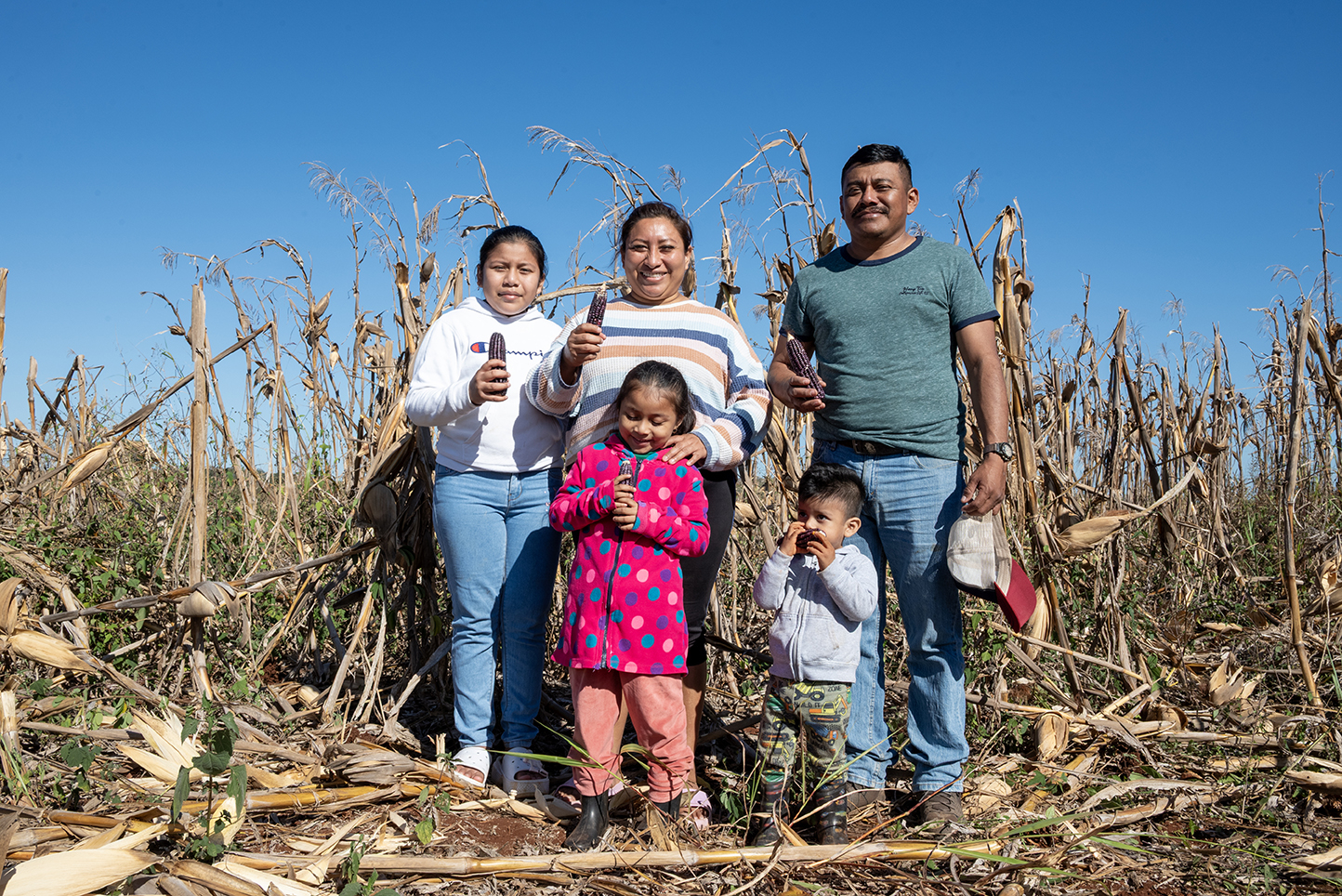 Help Mayan Farmers Rescue Their Native Corn
