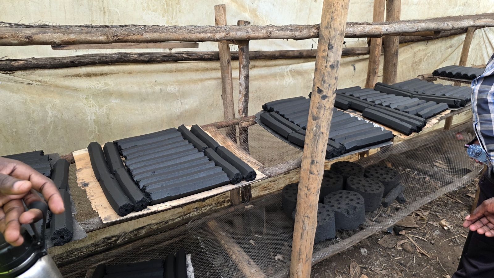Green Livelihoods for Women and Youth in Uganda
