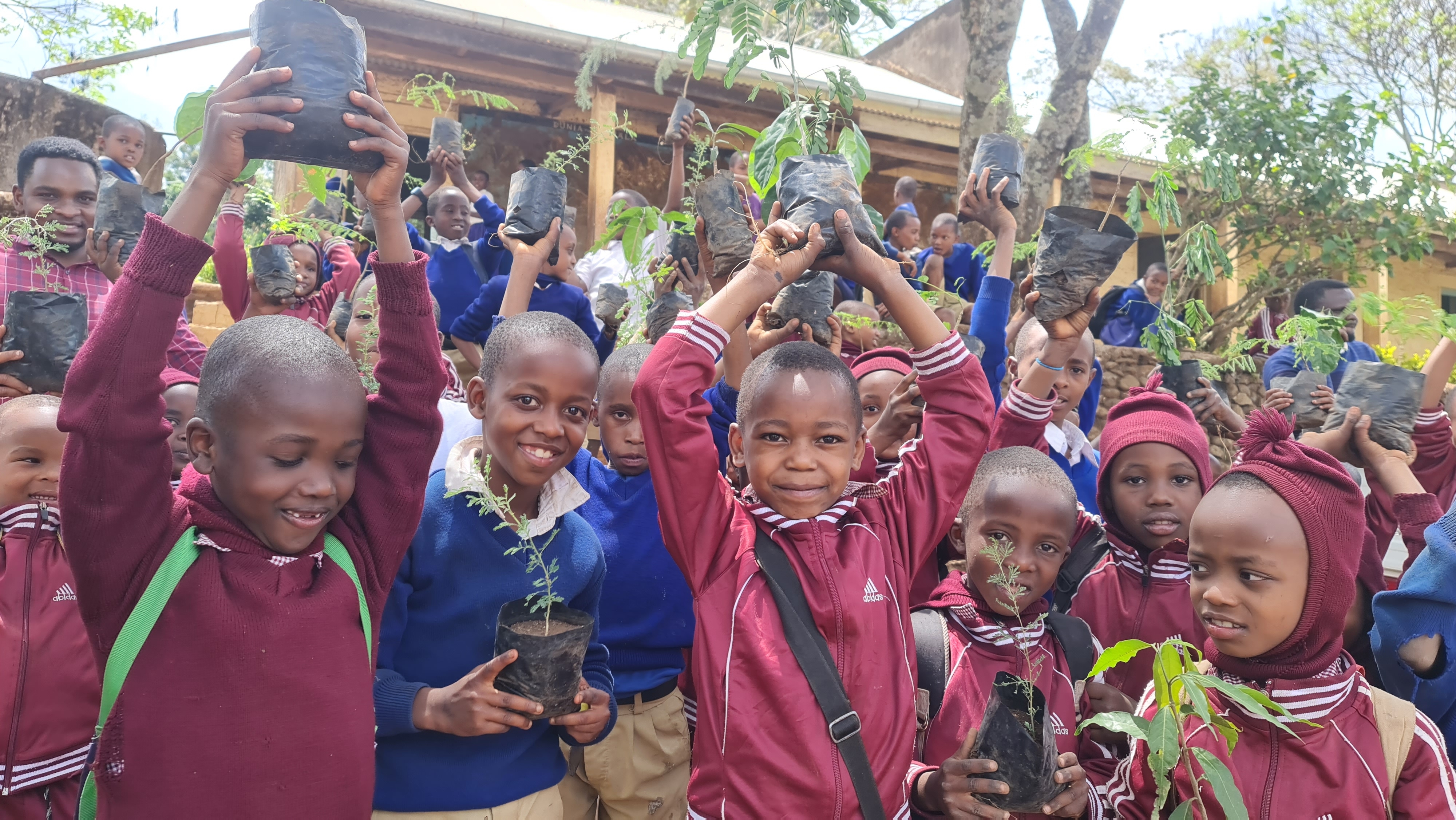 Replanting the African Blackwood Tree in Tanzania