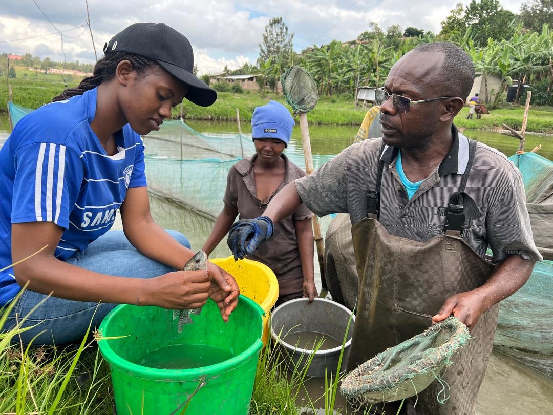 Help 50 Rwandan Families Farm Fish