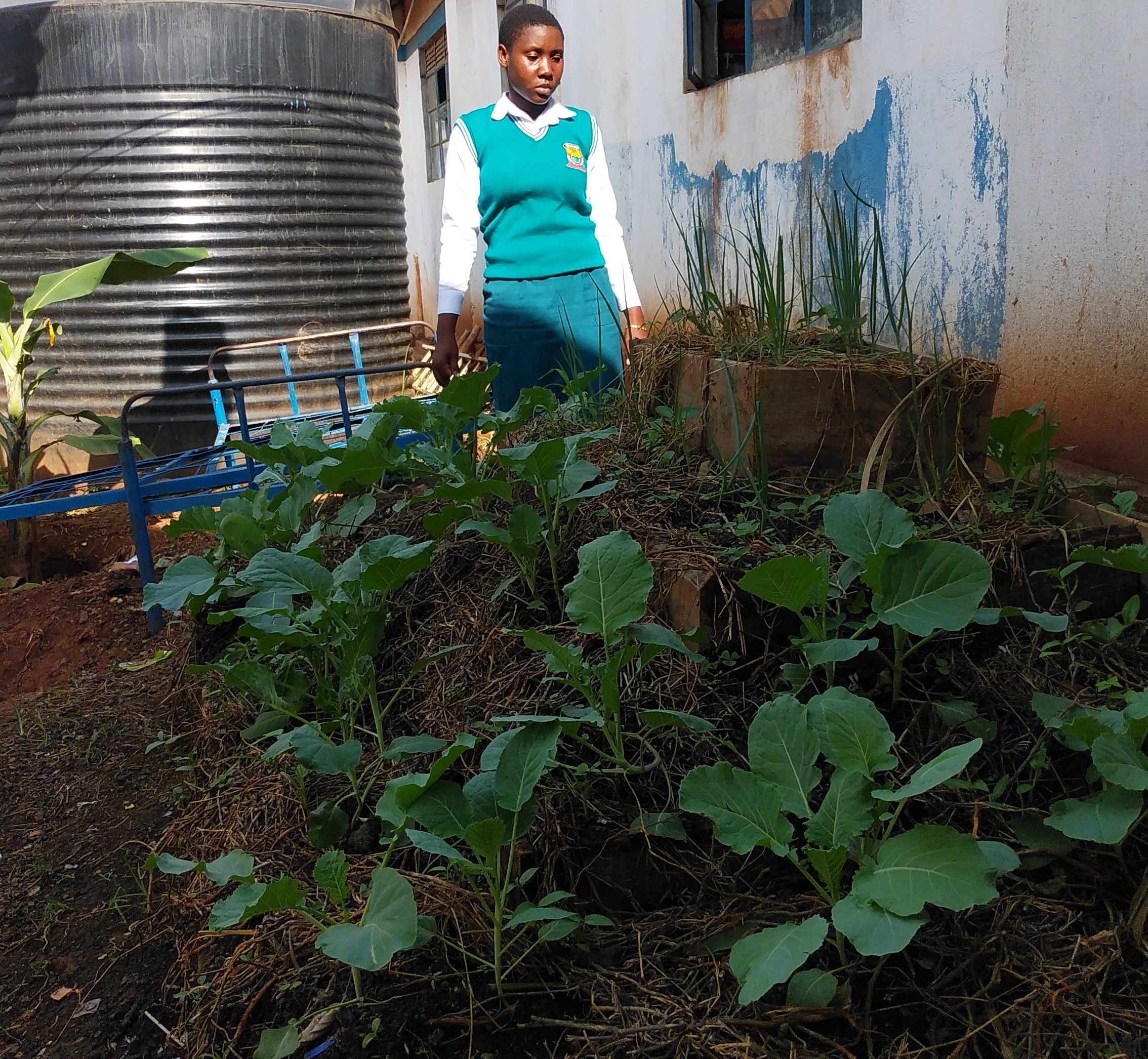 Support 14 schools integrate agribusiness skills