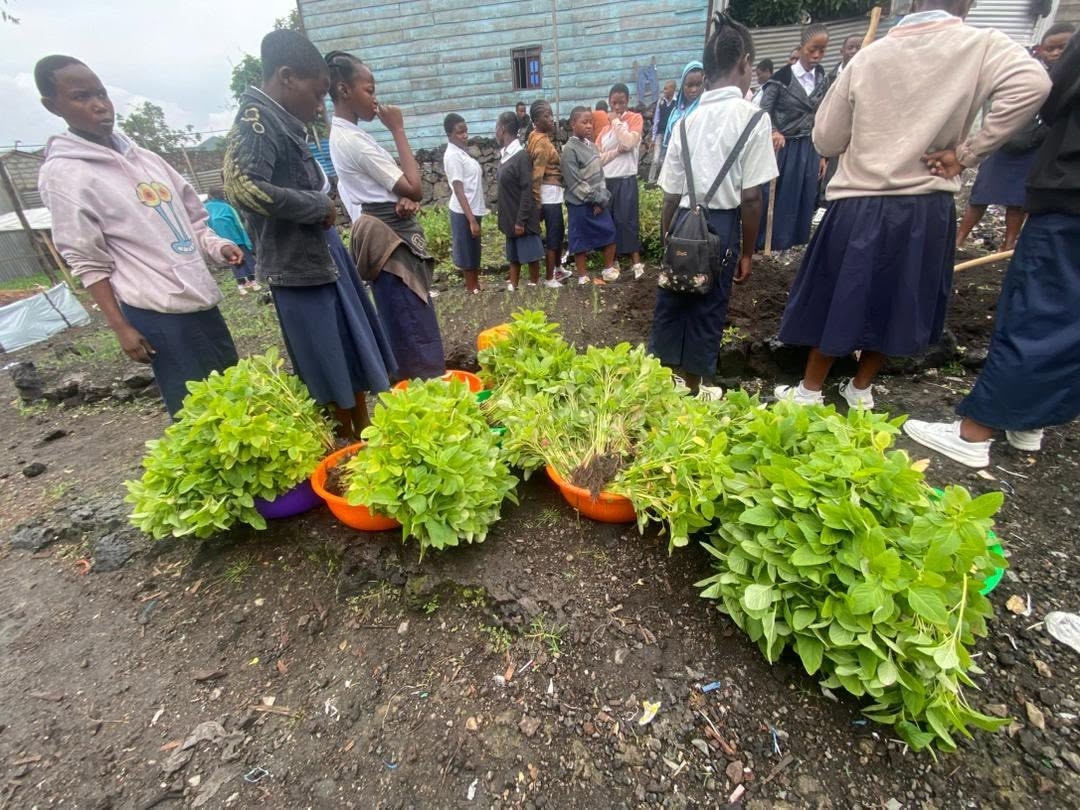 Grow a Garden, Feed Goma's Orphans