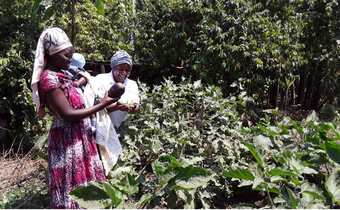 Women-Led Organic Gardens and SolarSHE Enterprises