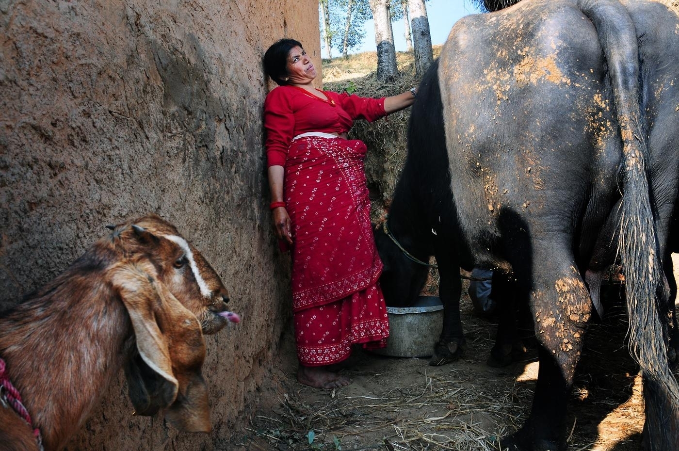 Develop Women Savings & Credit Cooperative, Nepal