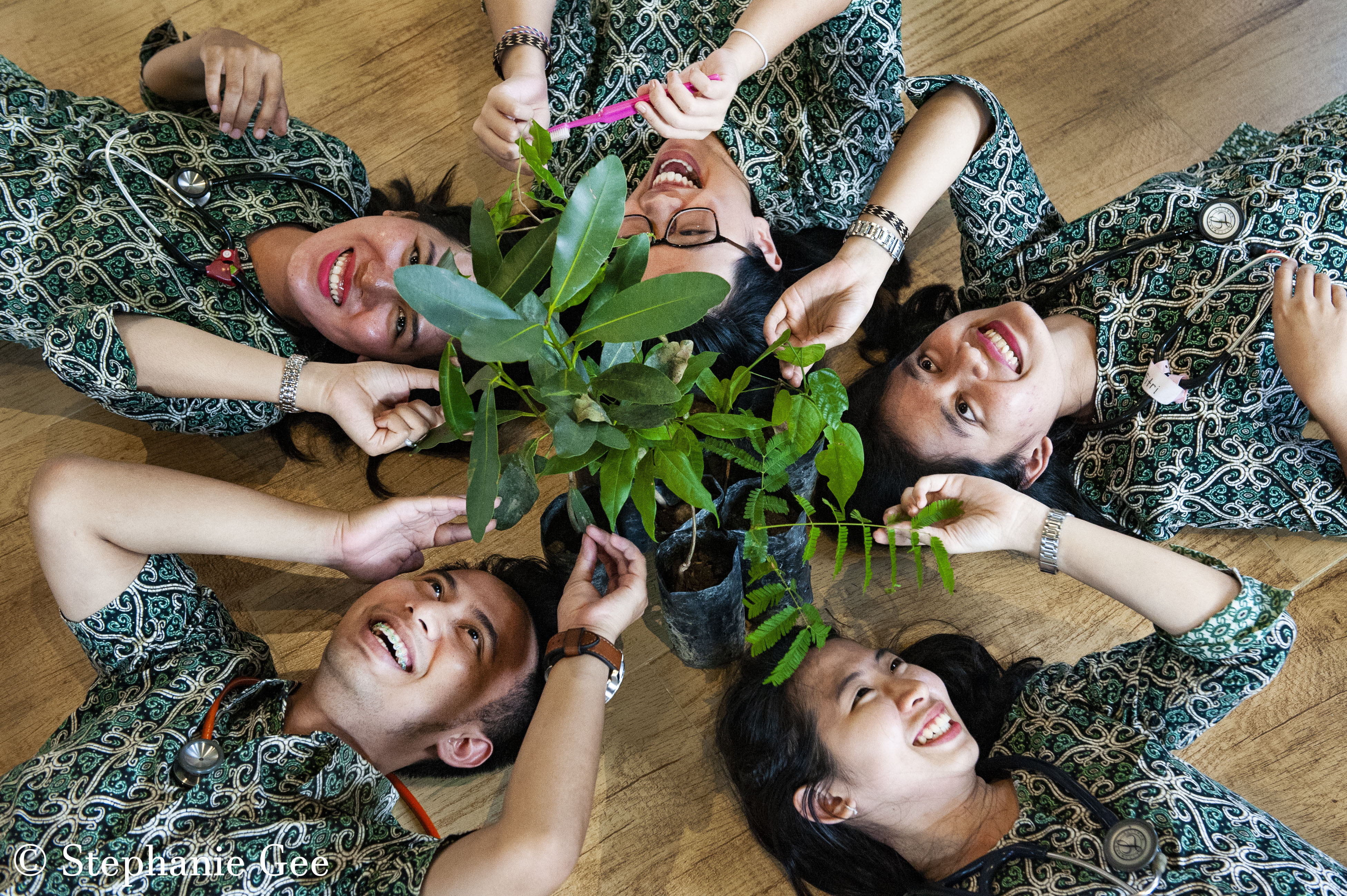 Regenerating Rainforests