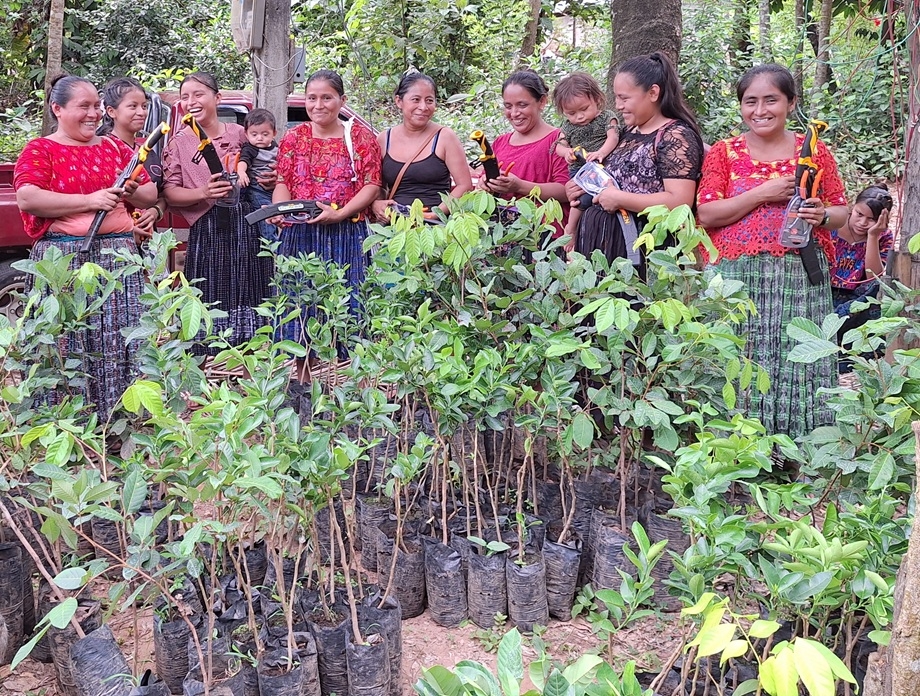 Promoting Sustainable Livelihoods in Guatemala